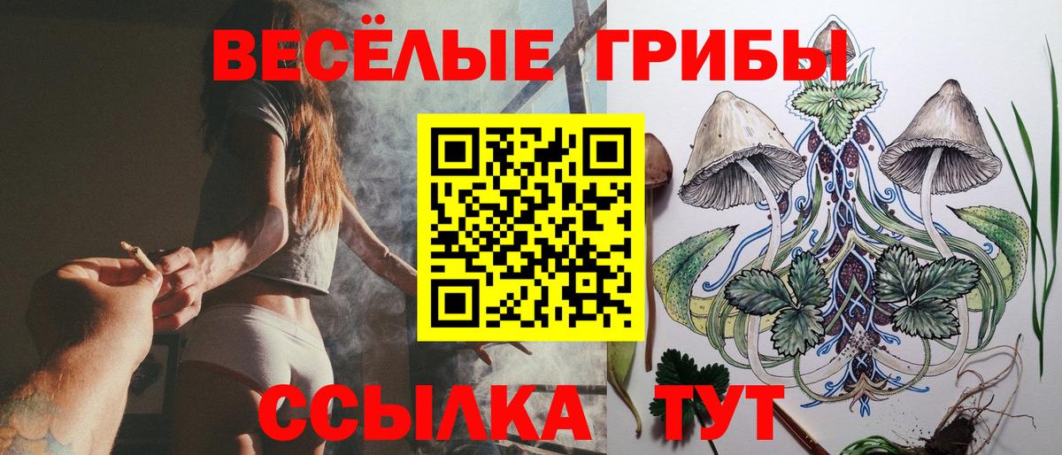 Галлюциногенные грибы MAGIC MUSHROOMS Елабуга
