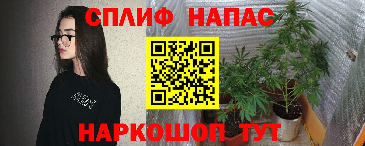 Cocaine Елабуга
